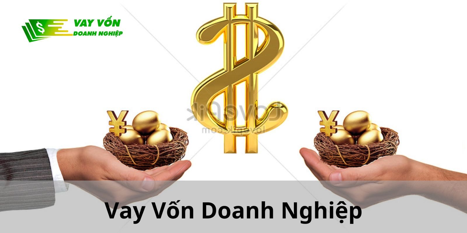 Ở Vay Vốn Doanh Nghiệp, bạn có thể vay trả gió đến 20 tỷ đồng