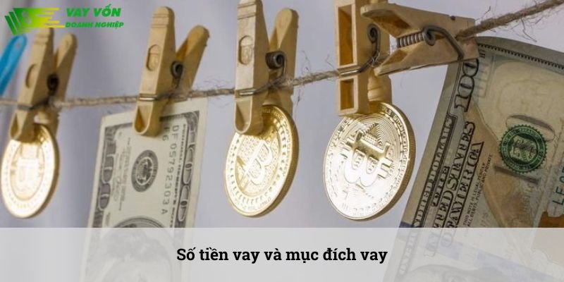 vay tư nhân Đà Nẵng