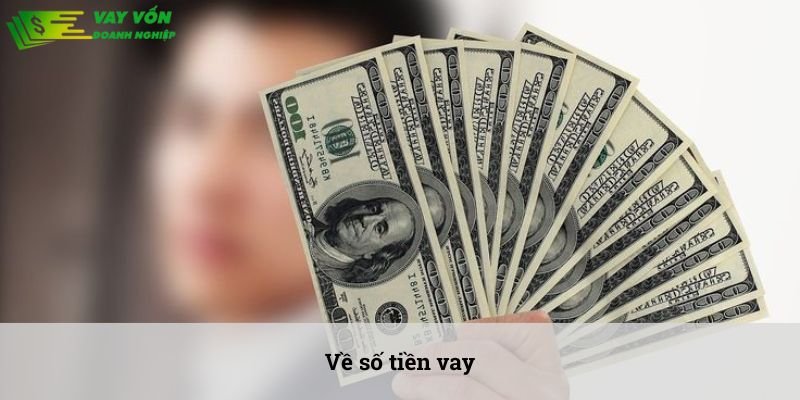 vay tư nhân góp ngày Đà Nẵng